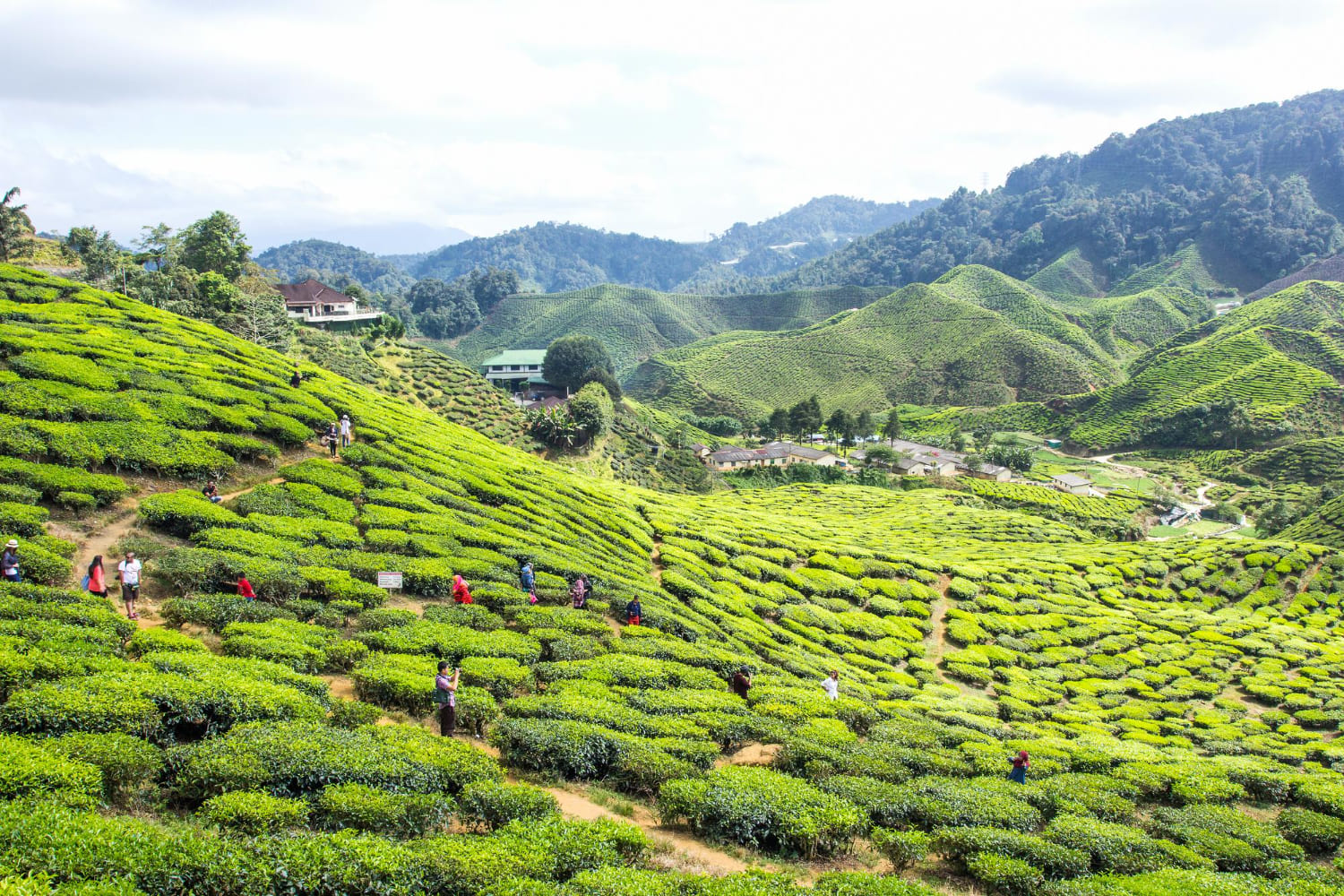 Pahang location image